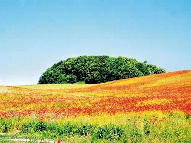 Villa Poseidon mit Balkon