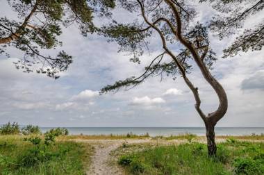 FeWo Prora - Sanddüne