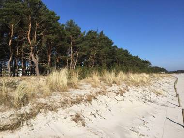 Strandresidenz Appartement Graugans A06 inklusive 1 Strandkorb