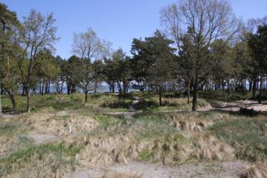 Strandresidenz Appartement Gänsesäger V09 inklusive 2 Strandkörbe