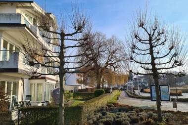 Villa Schwan by Rujana