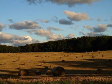 Blockhaus in Baabe _ fuer 2 Erw_ u