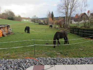 Ferienwohnung am Weinberg