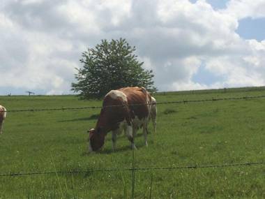 Ferienwohnung-Michels
