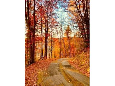 Ferienwohnungen Beilerstädtle