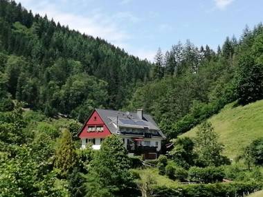 Apartment in a mansion in the Black Forest in a quiet and sunny location
