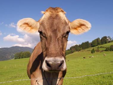 Panorama Hotel Kaserer