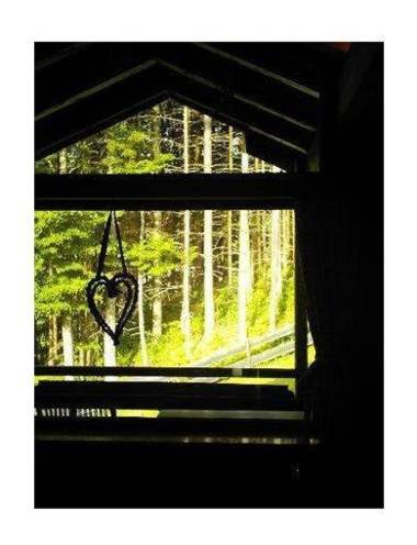 Haus-Bucheneck-Wohnung-2