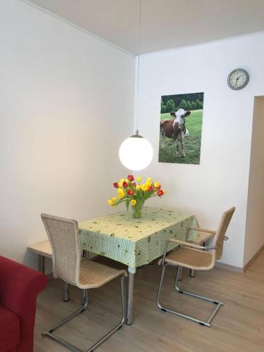 Sport-Alpin-Wohnung-4