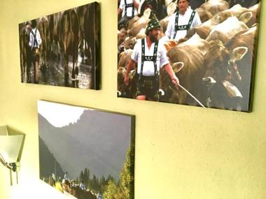 Sonnenhof - Ferienwohnung