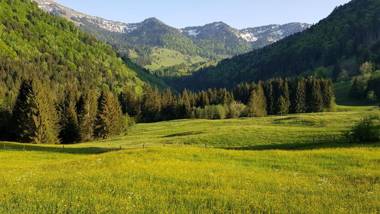 Ferienwohnungen am Schlossberg Oberstaufen