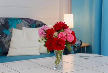 Ferienappartement Donautal