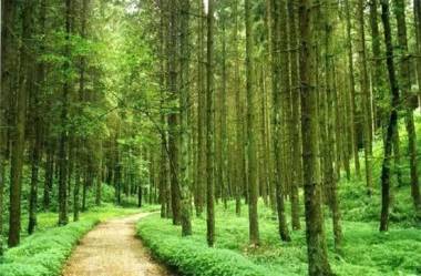 Abendruhe Hotel Garni kontaktloser check in check out