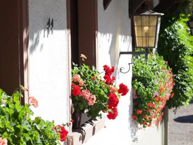 Hotel Gasthaus Adler