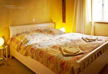 Stevenson House Bed and Breakfast