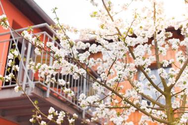 Bio Hotel Kunstquartier