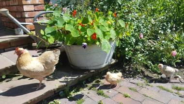 Ferienwohnungen Zollhaus Utlandshoern