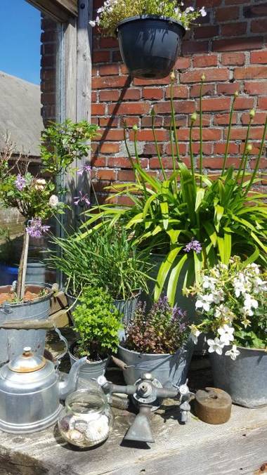 Ferienwohnungen Zollhaus Utlandshoern