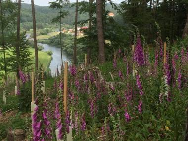 Appartementhaus Angelika