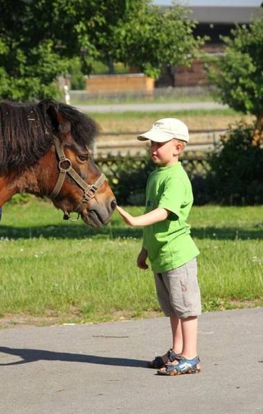 Urlaub am Regen – Ferienhof Dirnberger