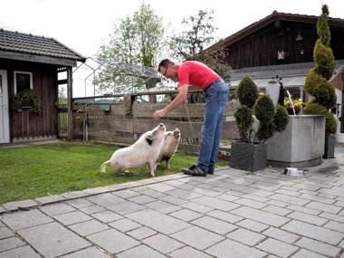 Urlaub am Regen – Ferienhof Dirnberger