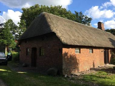 Ferienwohnung-Austernfischer