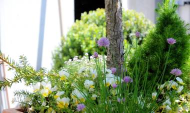 Hotel Garni Am Zehntstadl