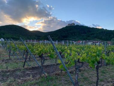 HGH - Hotel Garni Helbig