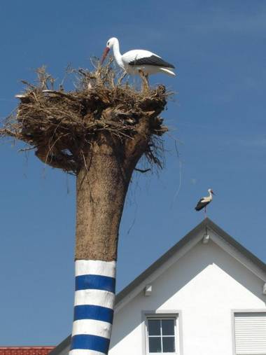 Pension Eichschmid / Röll´n Biergarten