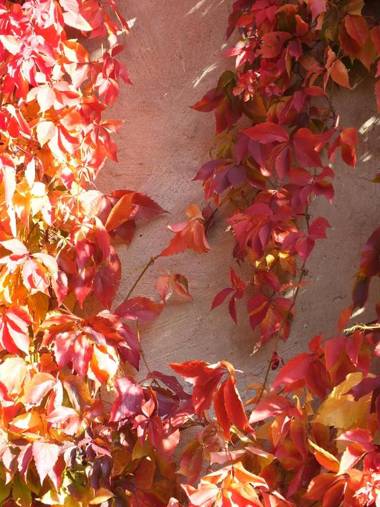 Bed&Breakfast Wagner "im Alten Pfarrhaus"