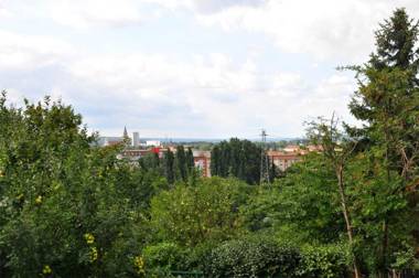 Ferienhaus Neubrandenburg SEE 8711