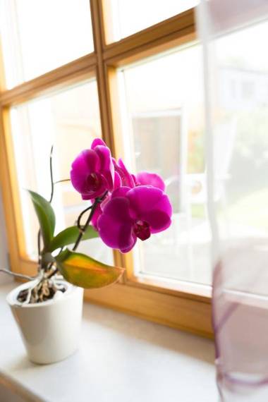 Ferienwohnungen Köhler