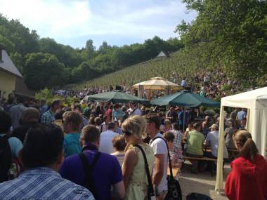 Hotel garni Zum Rebstock