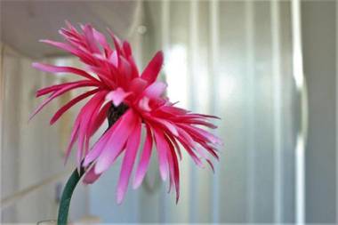 Ferienwohnung Tschitschmann