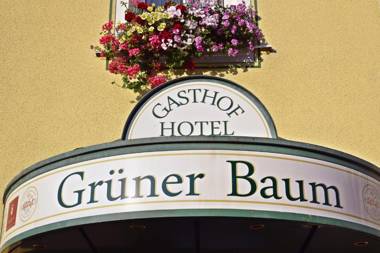 Hotel Grüner Baum