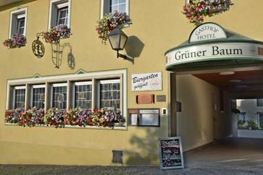 Hotel Grüner Baum