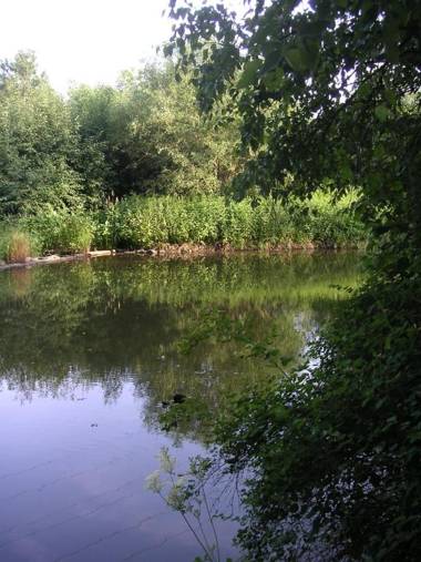 Hammerschloss Unterklingensporn