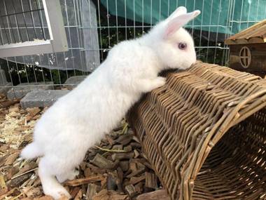 Ferienwohnung Bäumchenblick