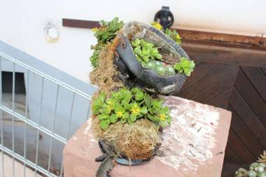 Ferien auf der Fleischdielte