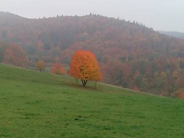 Landgasthof & Pension "Zur Schönen Aussicht"