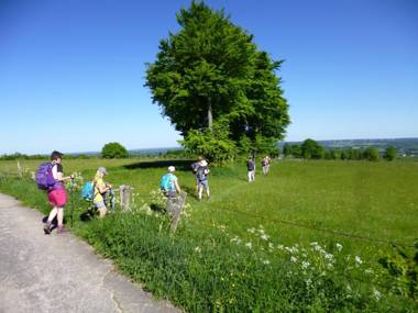 Venngasthof Zur Buche