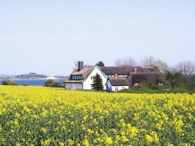 Ferienanlage Alt Reddevitz - Haus Berlin