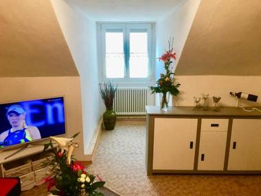 Ferienwohnung Meersburg 30m vom Bodensee