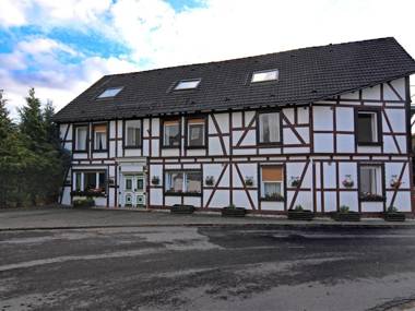 Spacious group home close to Winterberg and Willingen with private garden