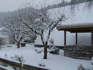 Scenic Holiday Home in Medebach-Dreislar with Roofed Terrace