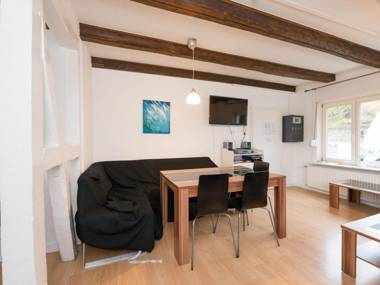 Modern group of homes close to Willingen and Winterberg with large garden