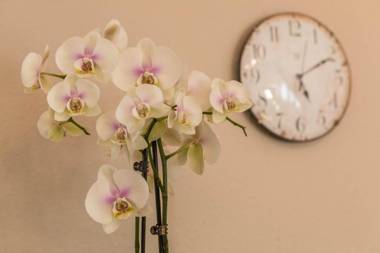 Ferienwohnung Schürer