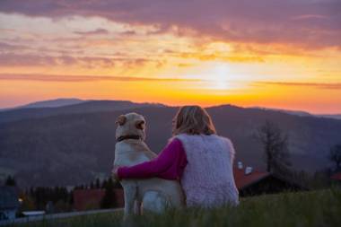 Landhotel Haus Waldeck - Urlaub mit Hund - Superior