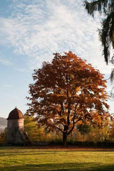 Zimmervermietung Vock