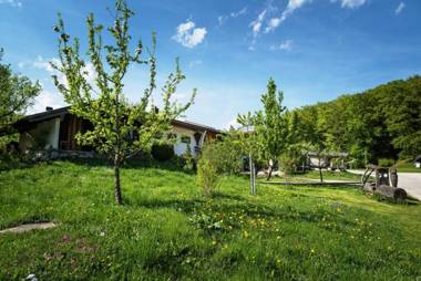 Ferienwohnungen Freidinglehen